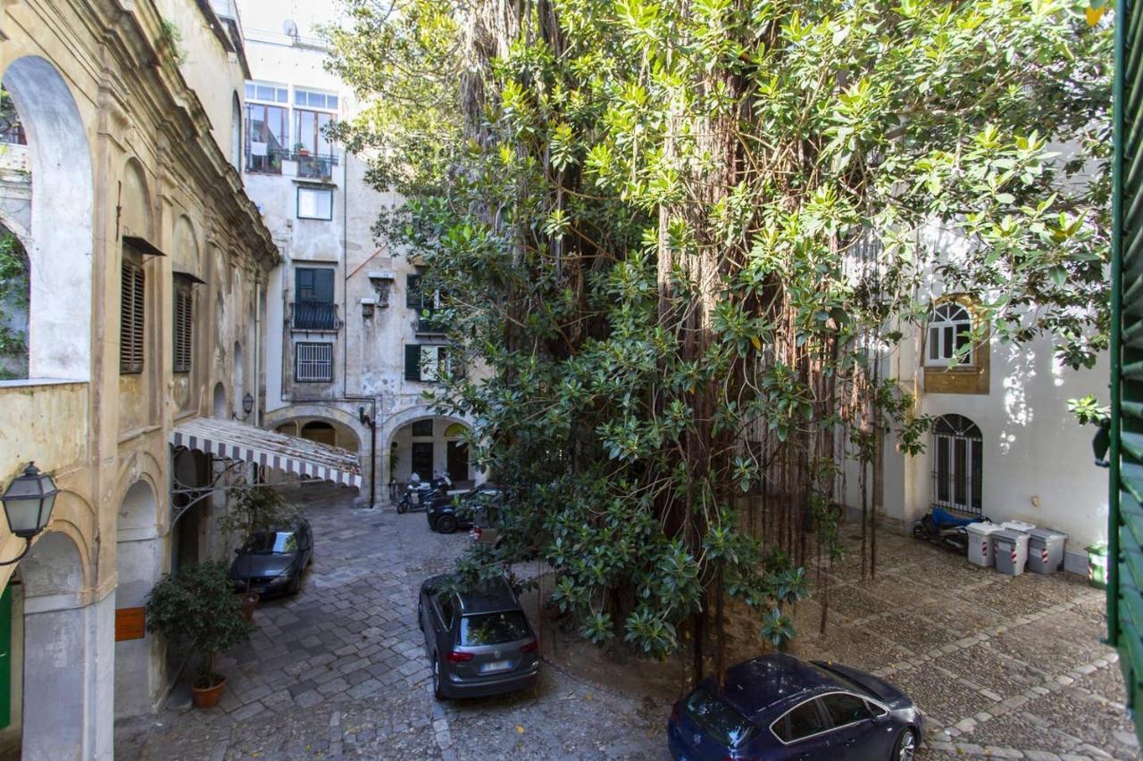 Amuni * Palermo