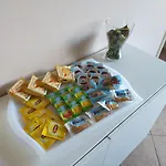 Apartment Michelangelo