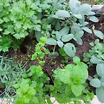 Casa Al Giardino - Relax nel cuore di Palermo