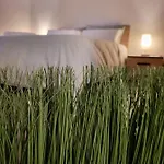 Giovenchi\'S Apartment