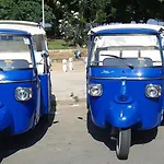 Paleemo Centro Zoe Blu