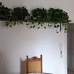 Cirissi