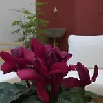 Opera Suites - Tosca