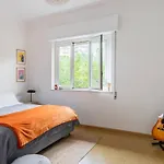 Luce\'S Home
