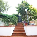 Il Gelsomino