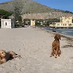 Due Cani Apartment