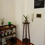 The Groove Garden