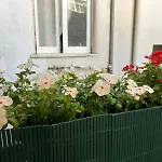 Casa Dei Nonni Di Yuri