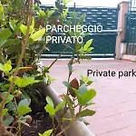 Art And Garden