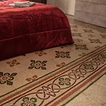 Pacini Deluxe Apartment