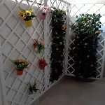 Dolce Casa