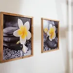 Plumeria - Vacanze In Centro A Palermo