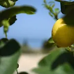 Calajo\' Resort