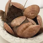 Pelu Il Marinaio