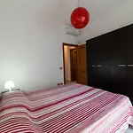 Il gabbiano in città