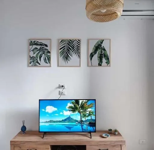 Relax Nel Verde- Giodapi Palm