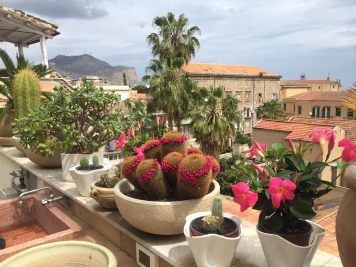 Gagini House & Terrace *