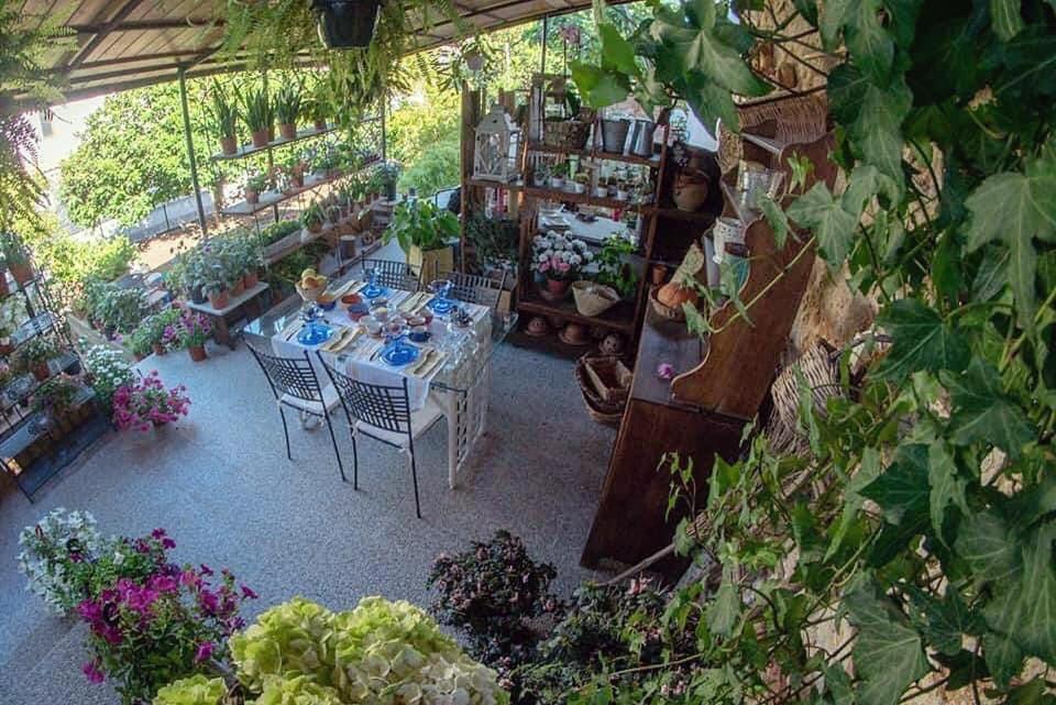I Leoni Di Sicilia Palermo
