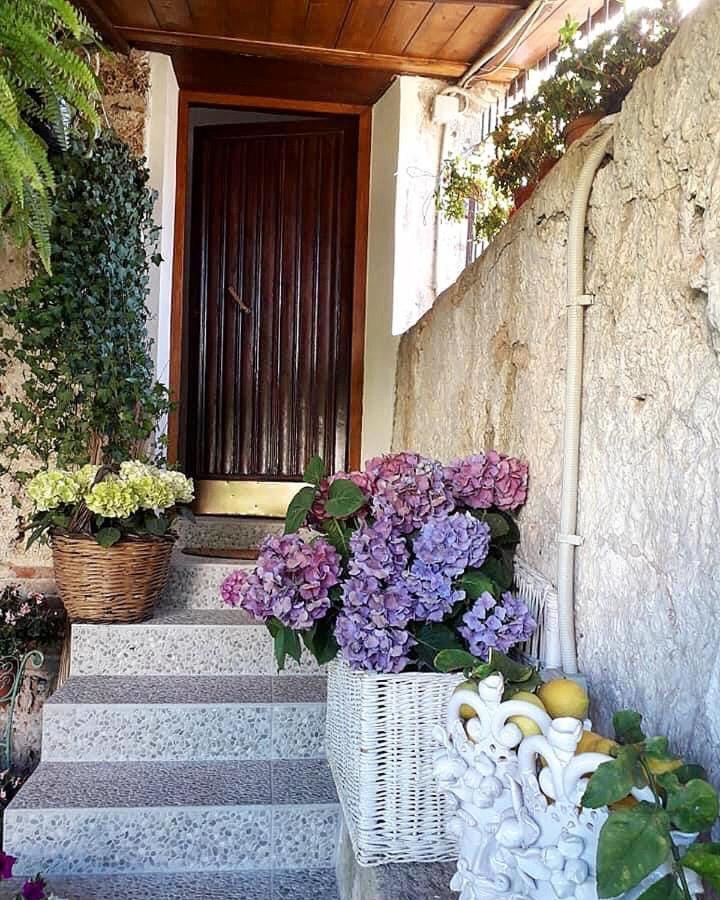 I Leoni Di Sicilia *