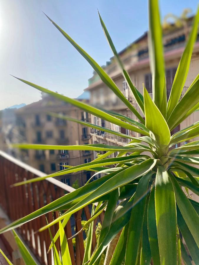 Mamamia #politeama Palermo