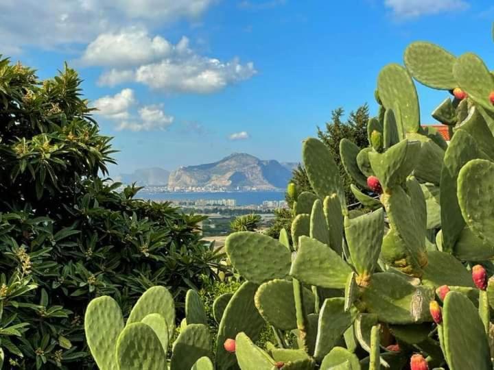Il Siciliano