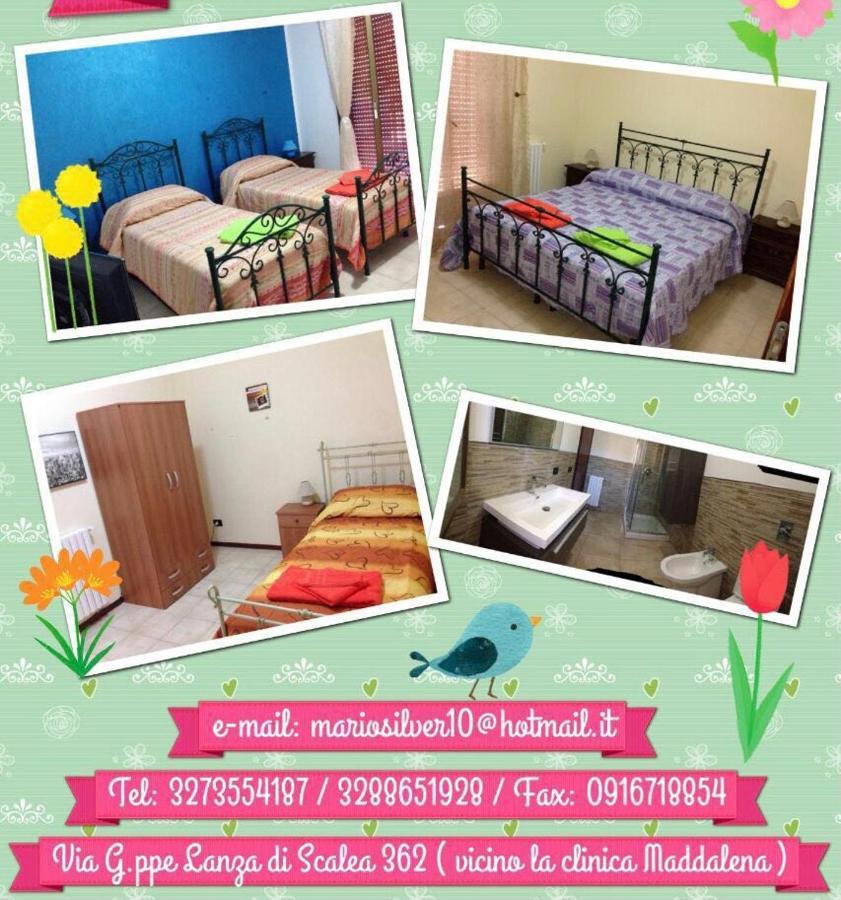 Casa Scalea Apartment *