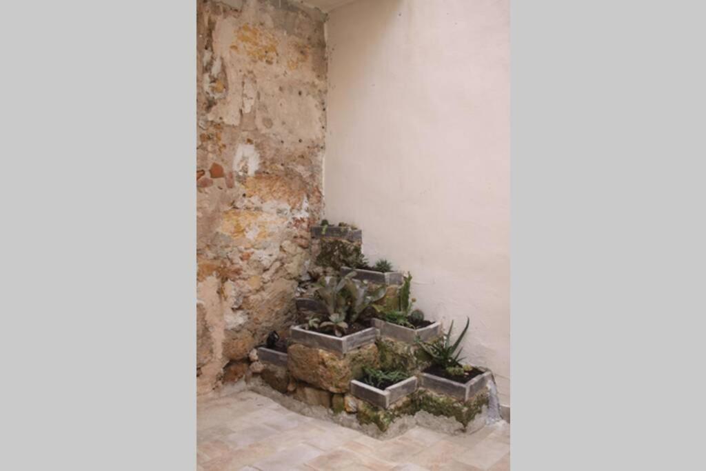 Apartment Tufoletto *