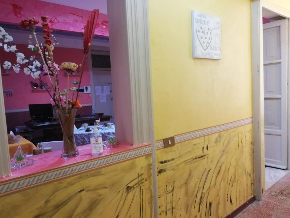 Orchidea Palermo
