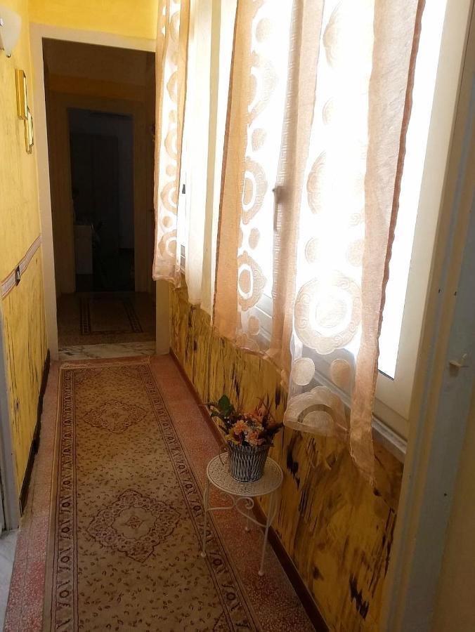 Orchidea * Palermo