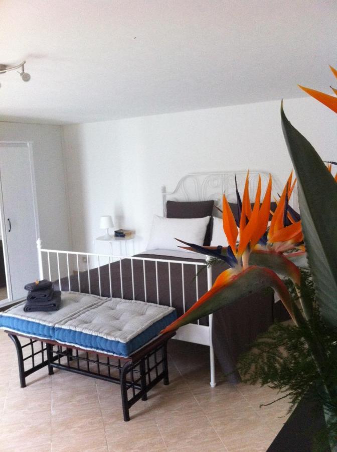 Apartment La Rina *