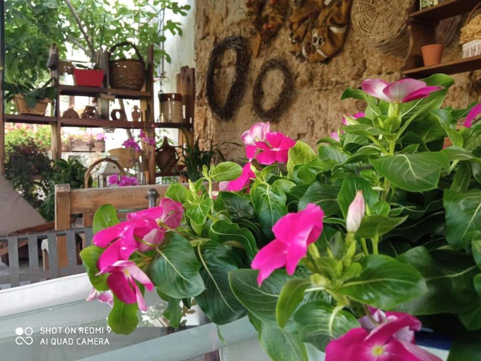 Holiday home I Leoni Di Sicilia Palermo