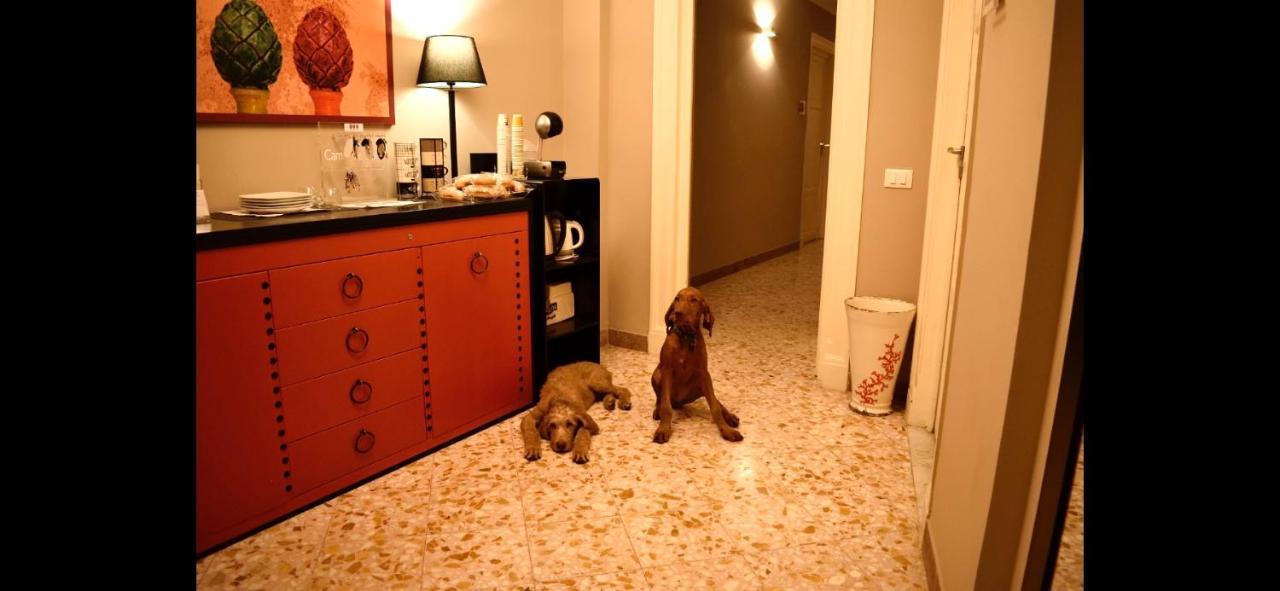 Due Cani Palermo