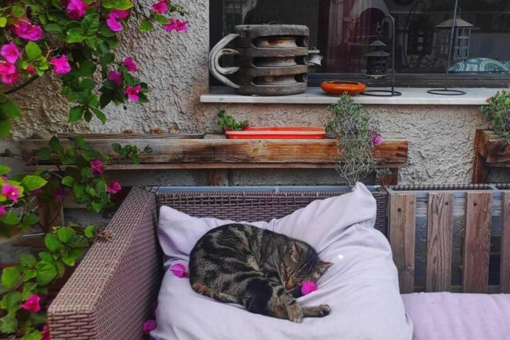 Kaleidos Guest house