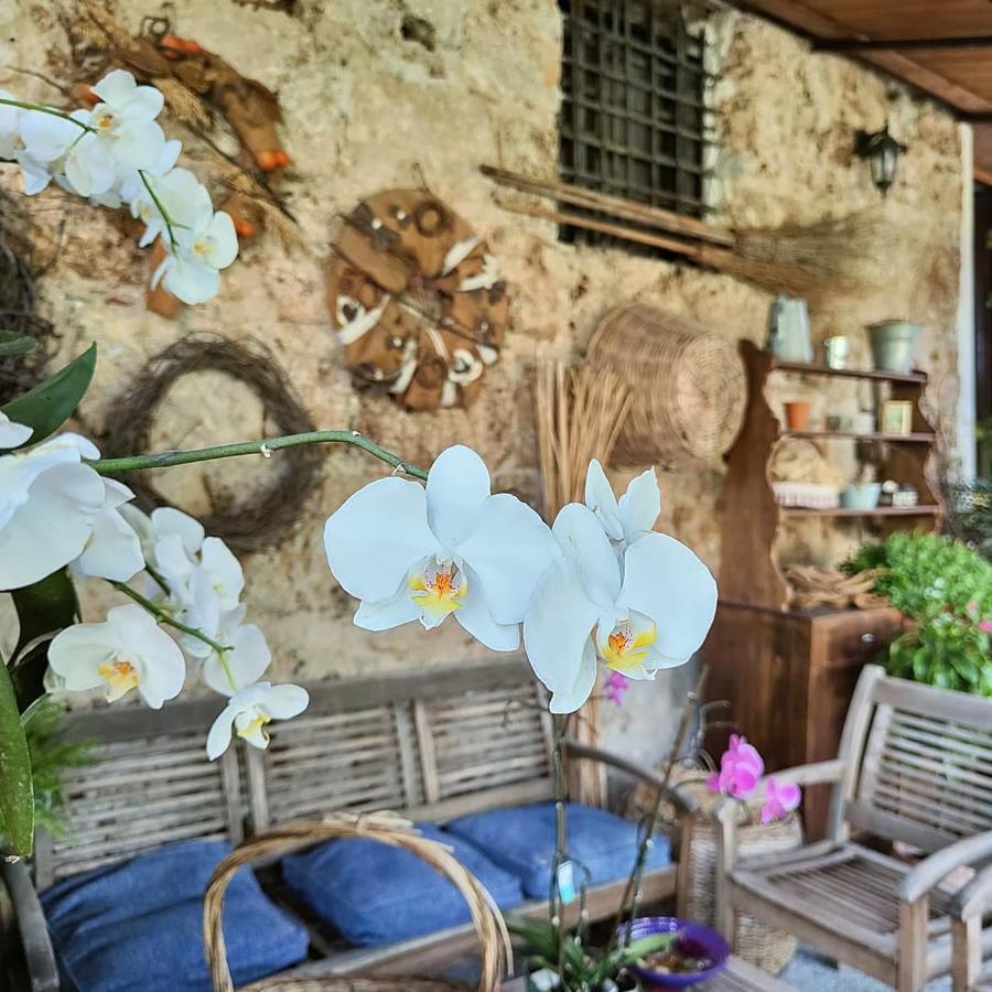 Casa de férias I Leoni Di Sicilia *