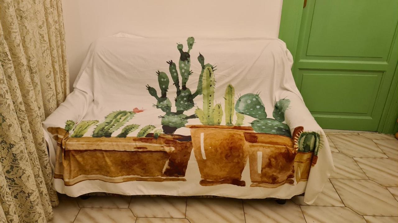 Casa Cactus Sapiddu * Palermo