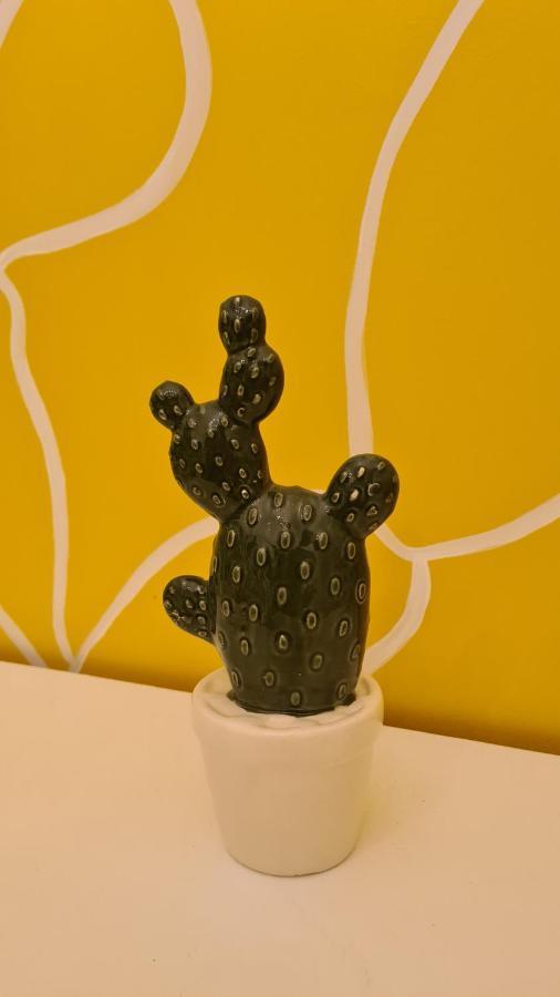Casa Cactus Sapiddu