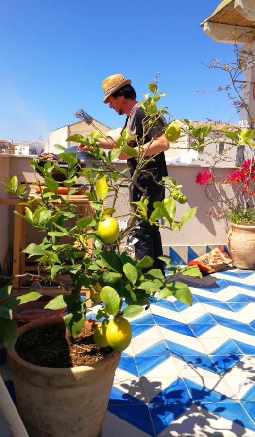 Terrazza Sul Carmine, Alle Porte Di Ballaro Apartment