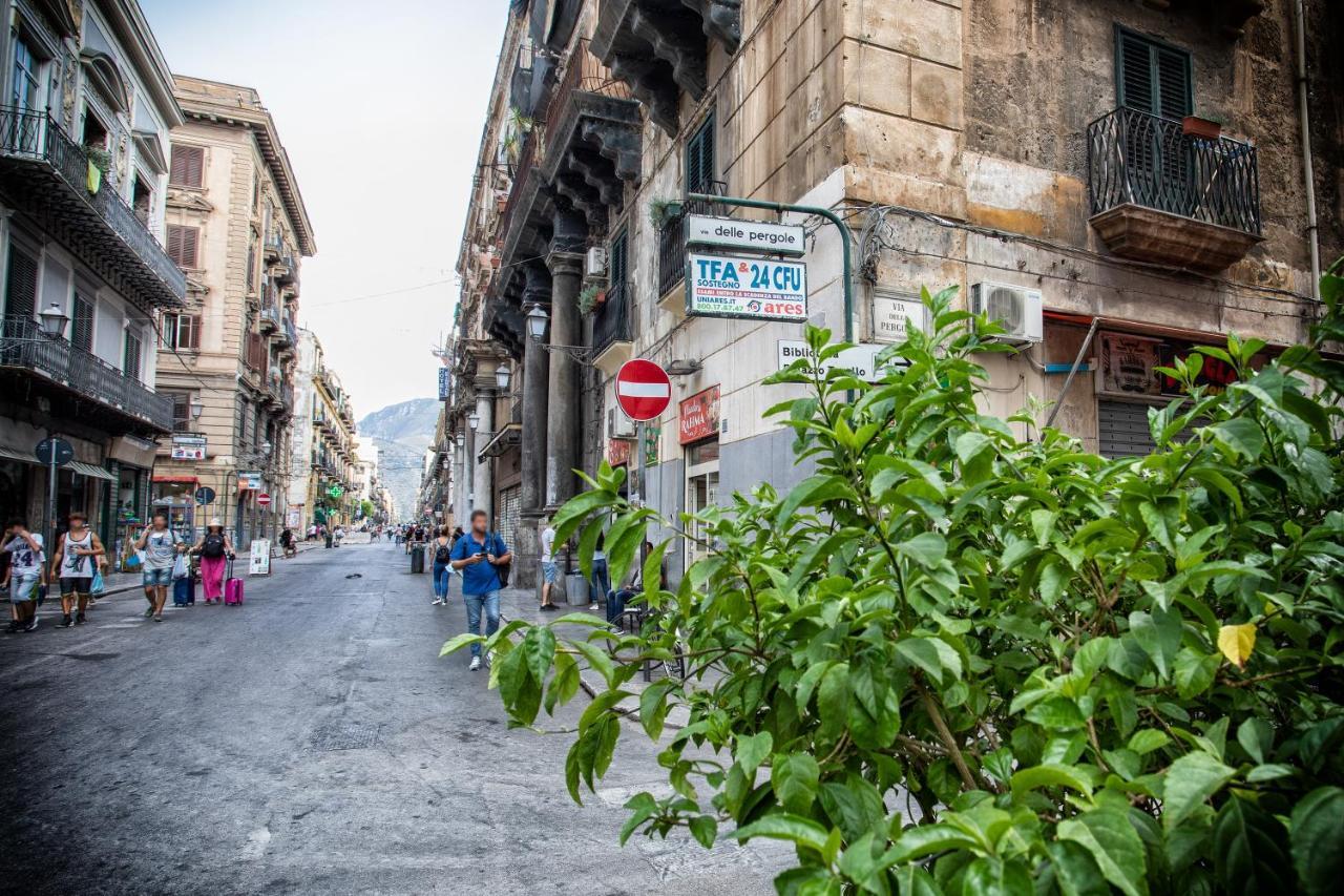 Appartamento Sol&luna 1909 Tourist Location In Old Town Palermo