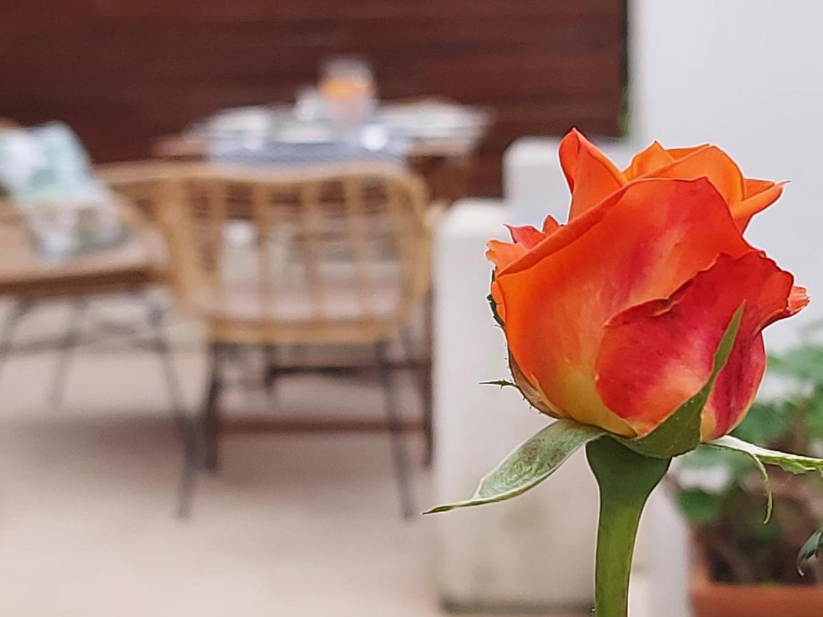 Casa Al Giardino - Relax Nel Cuore Di Appartamento