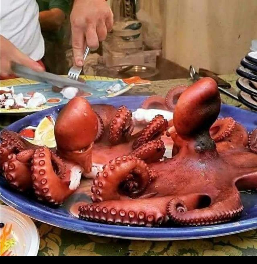 Casa Vacanza Al Massimo