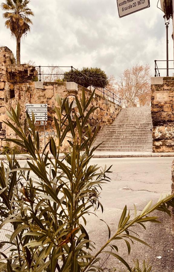 Cathedral House Design Palermo
