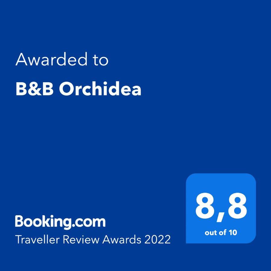 Orchidea