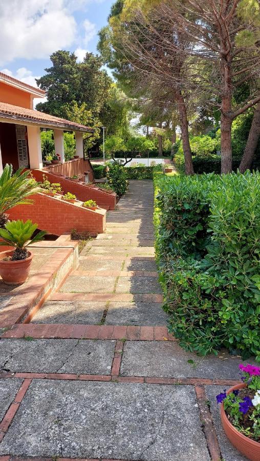 Holiday home Degli Agrumi Palermo