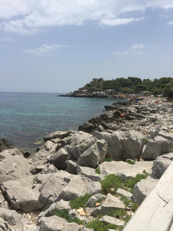 Ashur Mondello 2*