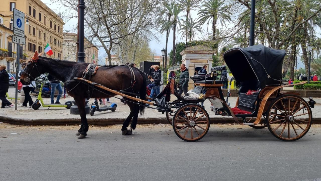 La Bedda Sicilia Palermo