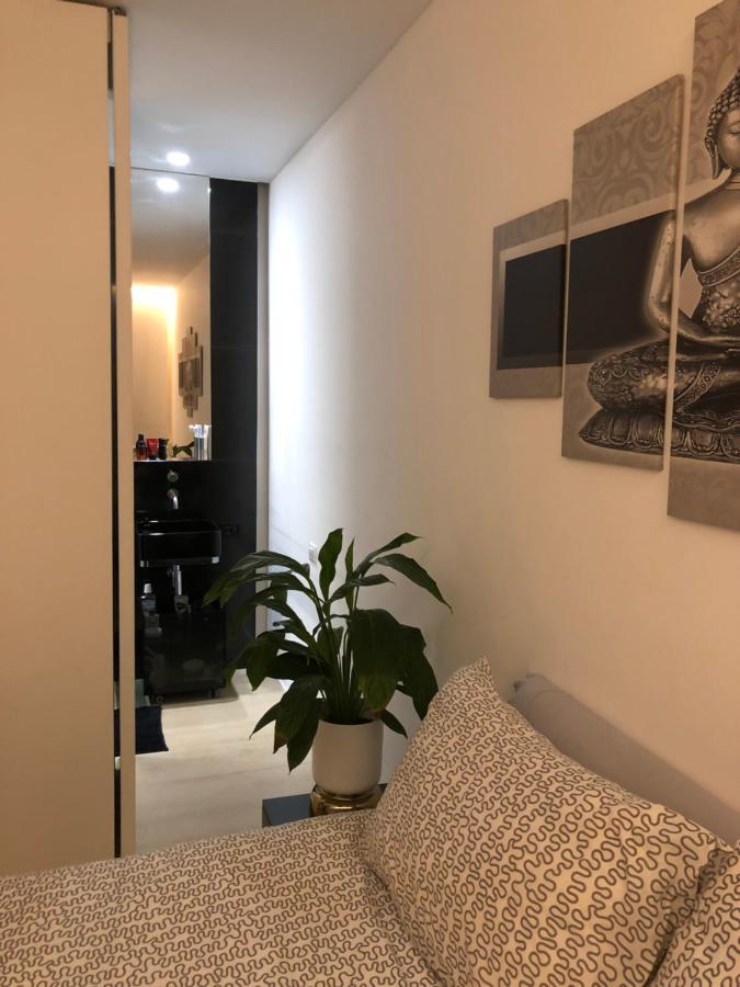 Lux In Historical Center Of Apartment