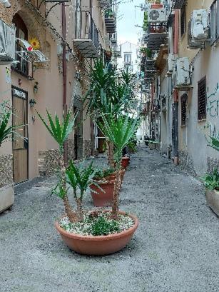 La Rosa Dei Venti 