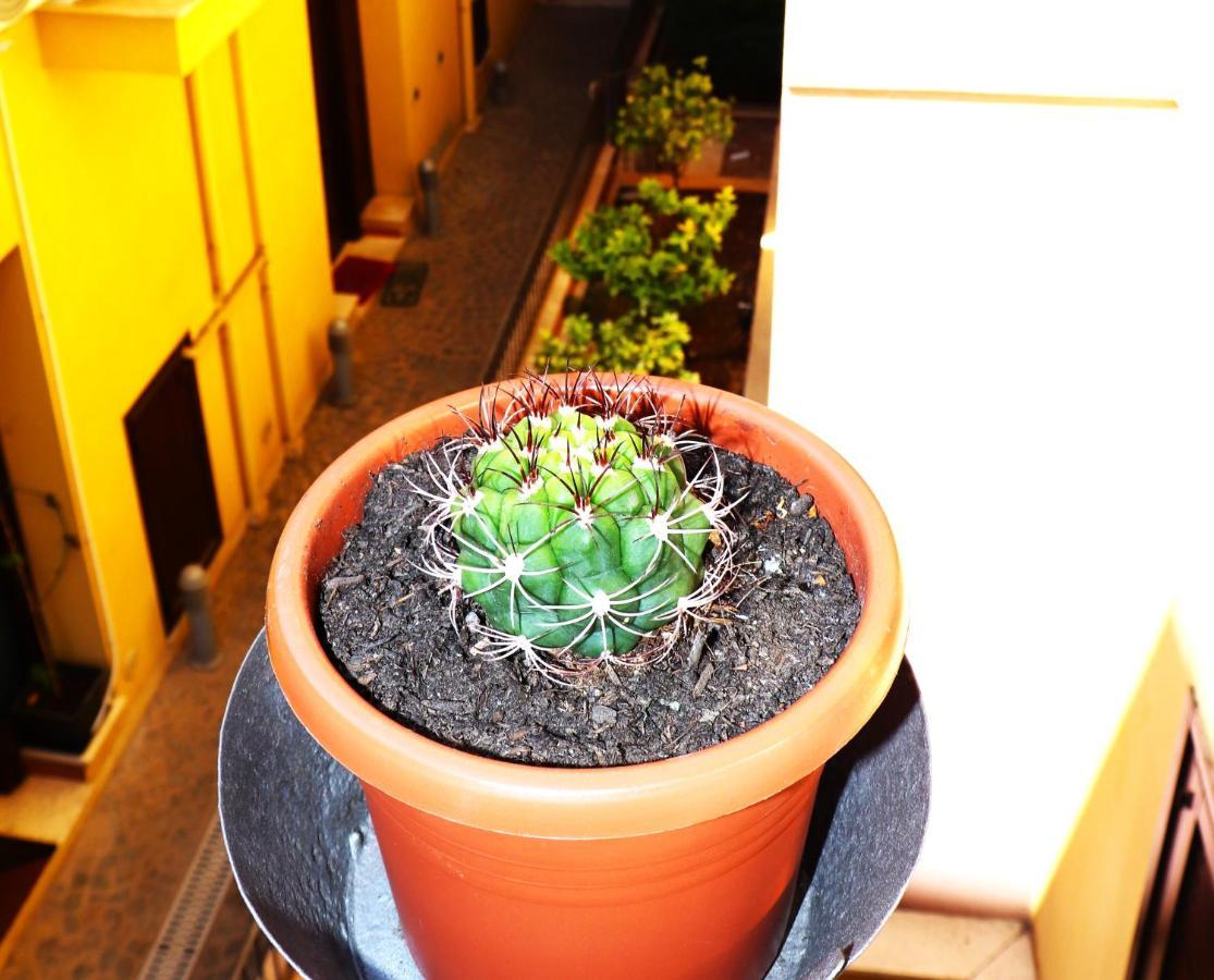 Apartment I Vicini Del Re *