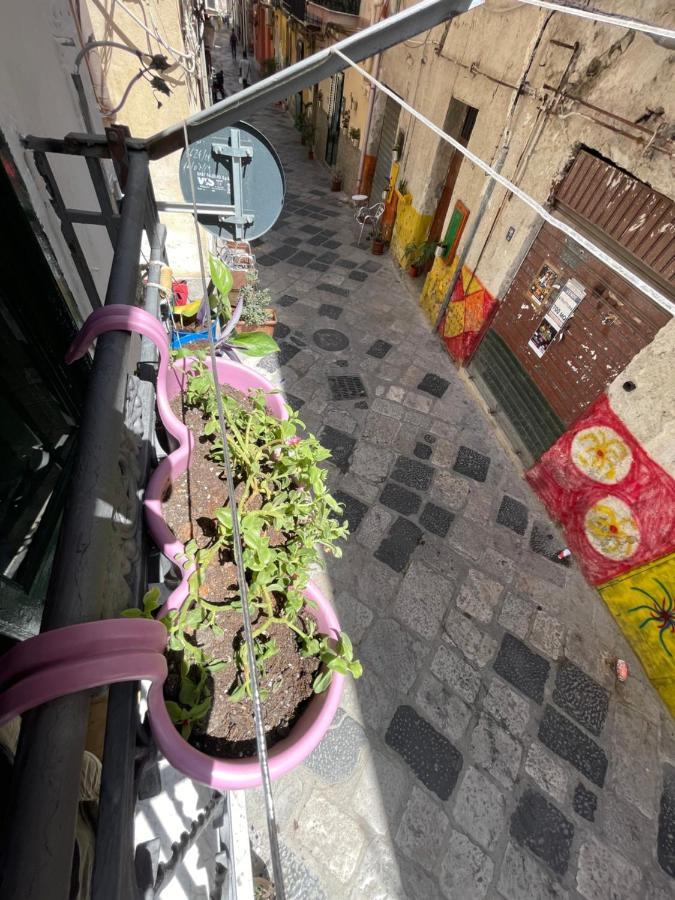 Rosalia Loft, Nel Cuore Di Ballaro A