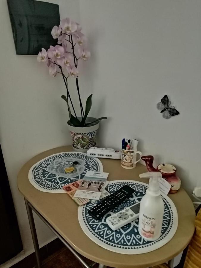 Casa Ligia Aurora Palermo